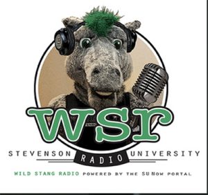 Podcast tackles sports issues