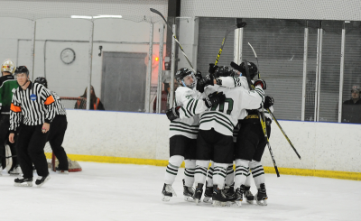 Stevenson Mens ice hockey celebrates after a goal (Photo from gomustangsports.com)
