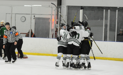 Stevenson Men's ice hockey celebrates after a goal (Photo from gomustangsports.com)