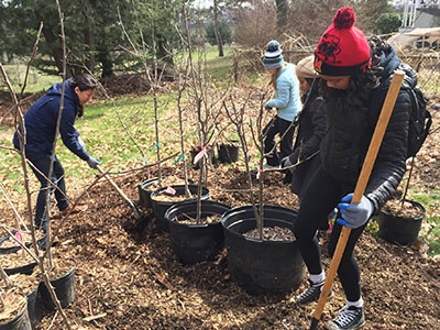 Spring Serve provides alternative spring break