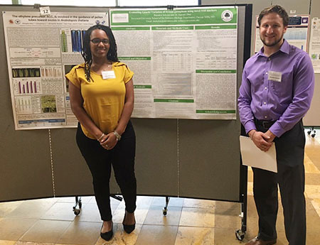 Student research wins award at conference