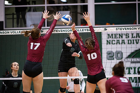 Stevenson womens volleyball captured their 8th straight MAC Commonwealth Title with their 3-1 victory over Arcadia on Saturday night at Owings Mills gymnasium.