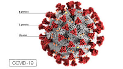 COVID-19 impacts Stevenson