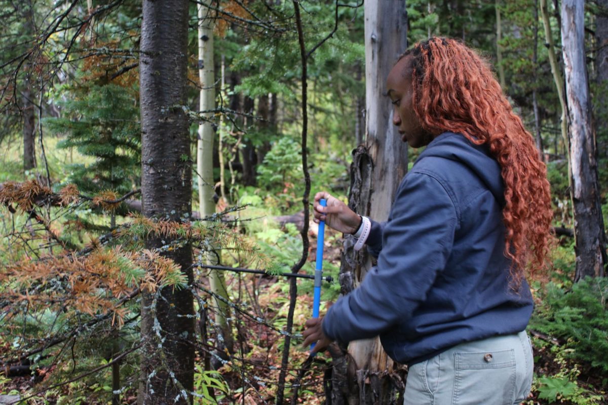 Third-year student, Shawn Bessick, collects a tree core sample to examine the tree’s age. Shawn attended a SEEDS National Field Trip to the University of Colorado’s Boulder Mountain Research Station.  

“We were split into groups of 5 and tasked with forming research questions and conducting field work to answer these questions. I had just learned to do it and was trying it for the first time,” Bessick said.   